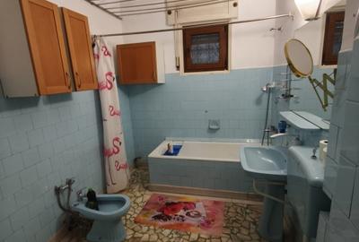 Casă individuală cu 4 camere cu Canalizare în Domenii - 17