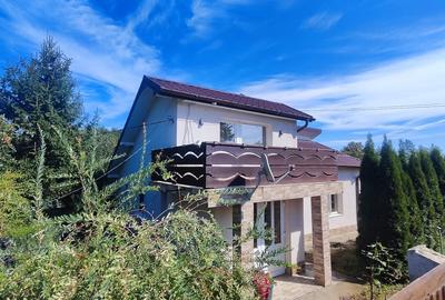 Casă individuală cu 3 camere cu Teren 3800 Mp în Icușeni