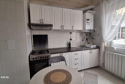 Apartament cu 2 camere semidecomandat, mobilat în Parcul Carol - 15