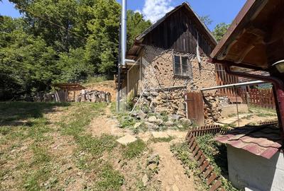 Casă individuală cu 5 camere cu Canalizare în Dumbrava de Jos - 44