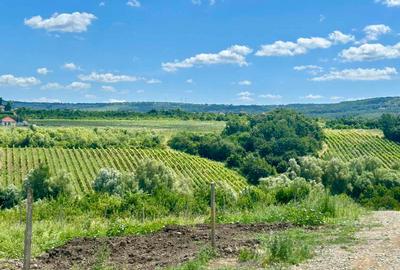 Teren intravilan de 670 mp, în Vișani - 5