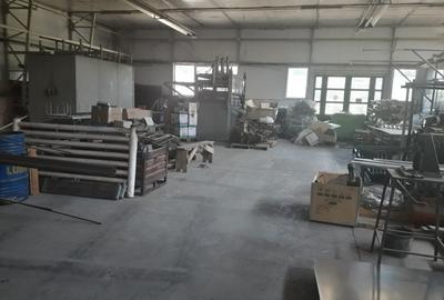 Spațiu industrial, de 1,300 mp, în Bartolomeu - 4