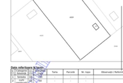 Teren agricol intravilan de 1600 mp, în Tăuții-Măgherăuș - 10