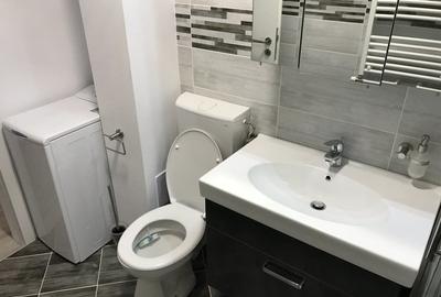 Apartament cu 3 camere decomandat în Palat - 10