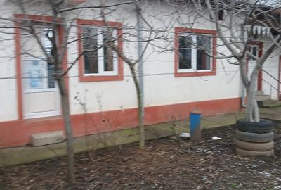 Casă cu 3 camere cu Teren 991 Mp în Vadu Pașii - 2