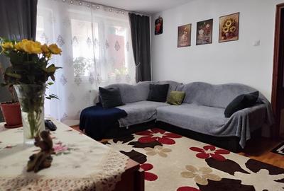 Apartament cu 2 camere semidecomandat în Botoș - 10