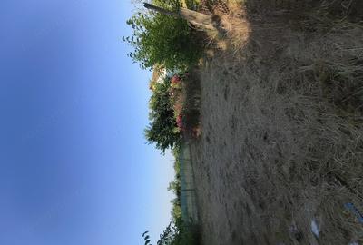 Casă cu Teren 1050 Mp în Pecineaga - 7