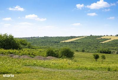 Teren de 903 mp, în Paleu - 3