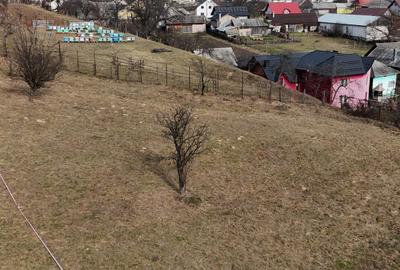 Teren Construcții intravilan de 1220 mp, în Prundu Bârgăului - 6