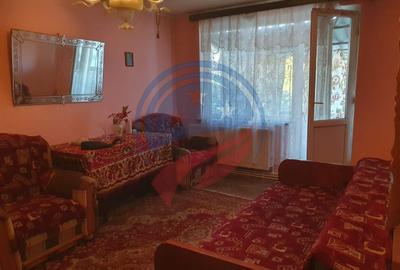 Apartament cu 2 camere semidecomandat în Brazda lui Novac