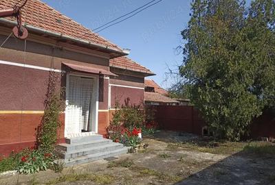 Casă cu 3 camere cu Teren 1500 Mp în Central