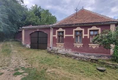 Casă cu 3 camere în Central