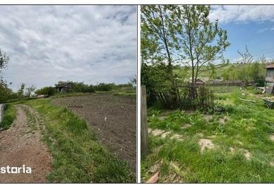 Casă cu 3 camere cu Teren 1800 Mp în Curtești
