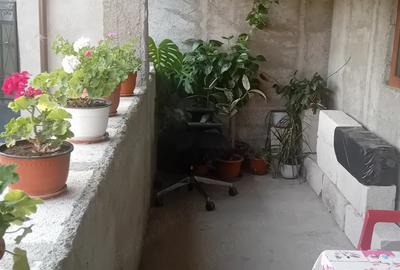 Casă cu Teren 680 Mp în Lucieni