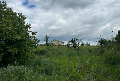 Teren Construcții intravilan de 473 mp, în Albota - 3