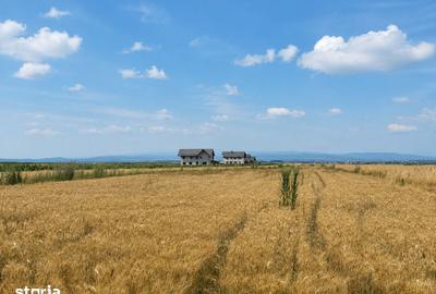 Teren de 5000 mp, în Tărlungeni