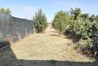 Casă cu Teren 619 Mp în Gogoșu