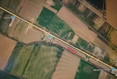 Teren agricol extravilan de 3200 mp, în Bordești - 1