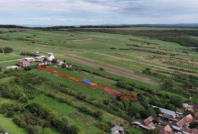 Teren Construcții intravilan de 2000 mp, în Betfia - 2