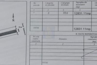 Teren de 12831 mp, în Balotești - 2