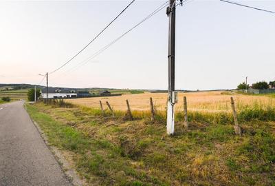 Teren Construcții intravilan de 1000 mp, în Lăzăreni - 10
