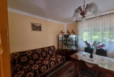 Casă individuală cu 6 camere cu Canalizare în Șercăița - 19