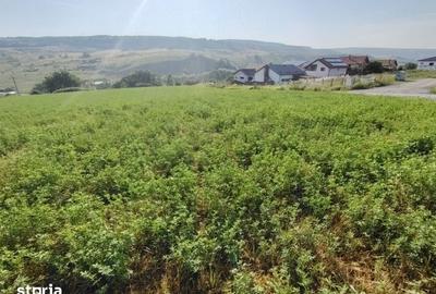 Teren de 7092 mp, în Baciu - 1