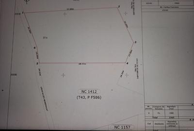 Teren intravilan de 3365 mp, în Valea Doftanei - 3