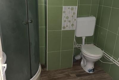 Casă cu 4 camere în Harghita-Băi - 4