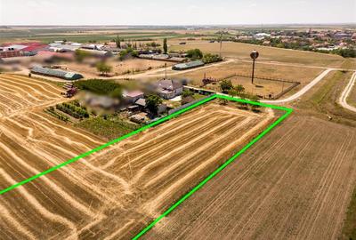 Teren intravilan de 3000 mp, în Nojorid - 7