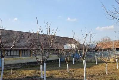 Casă cu 2 camere cu Teren 1500 Mp în Urzica - 8