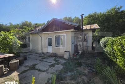 Casă cu 3 camere cu Teren 1820 Mp în Centură - 4