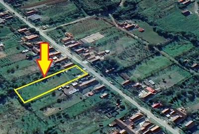 Teren de 1359 mp, în Buzad - 3
