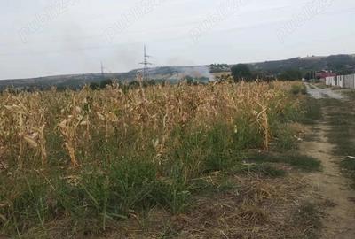 Teren de 1700 mp, în Central