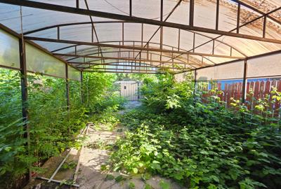 Teren intravilan de 688 mp, în Brănești - 11