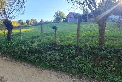 Casă cu 2 camere în Deleni