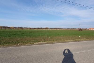 Teren de 5300 mp, în Odoreu - 5