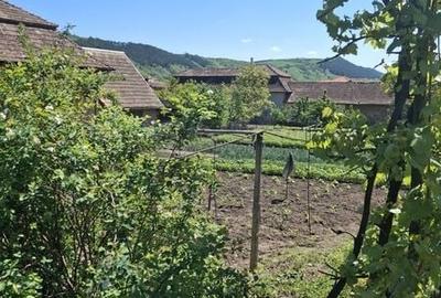 Casă cu 3 camere cu Teren 1830 Mp în Viișoara