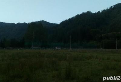 Teren de 2000 mp, în Rucăr - 3
