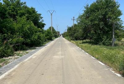 Teren de 2601 mp, în Grădinari - 3