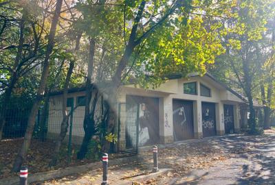 Casă cu 2 camere în Floreasca