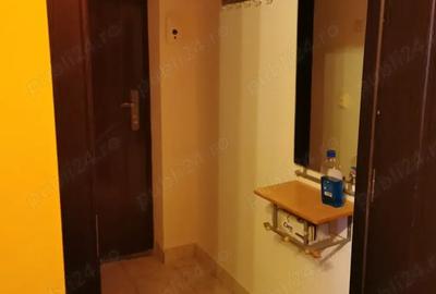 Garsonieră semidecomandată în Lugoj - 3