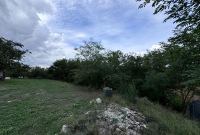 Hotel/Pensiune, de 1,380 mp, în Băltenii de Sus - 16