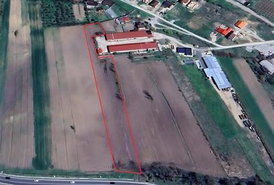 Teren Construcții intravilan de 4367 mp, în Hidișelu de Sus - 3