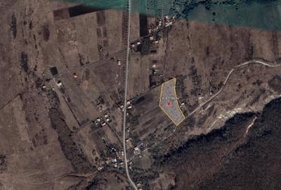 Teren Construcții intravilan de 1000 mp, în Pădureni (Chinteni) - 9