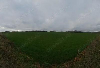 Teren de 2100 mp, în Benic - 1