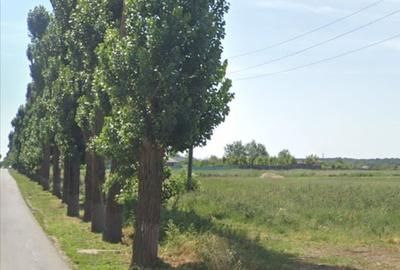 Teren de 6250 mp, în Găneasa - 3