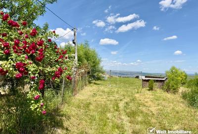 Teren agricol intravilan de 1051 mp, în Borhanci
