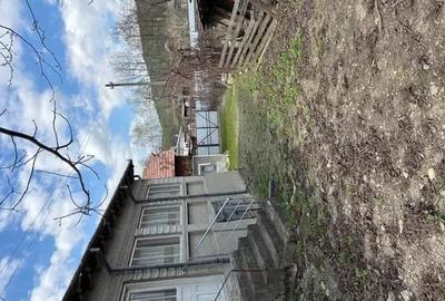 Casă cu Teren 3384 Mp în Bârsănești