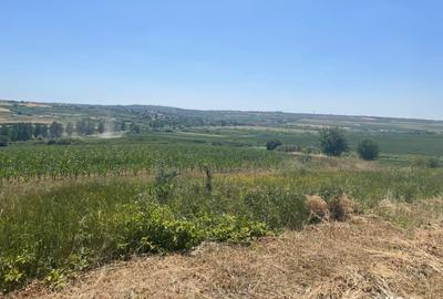Teren de 1200 mp, în Paleu - 2